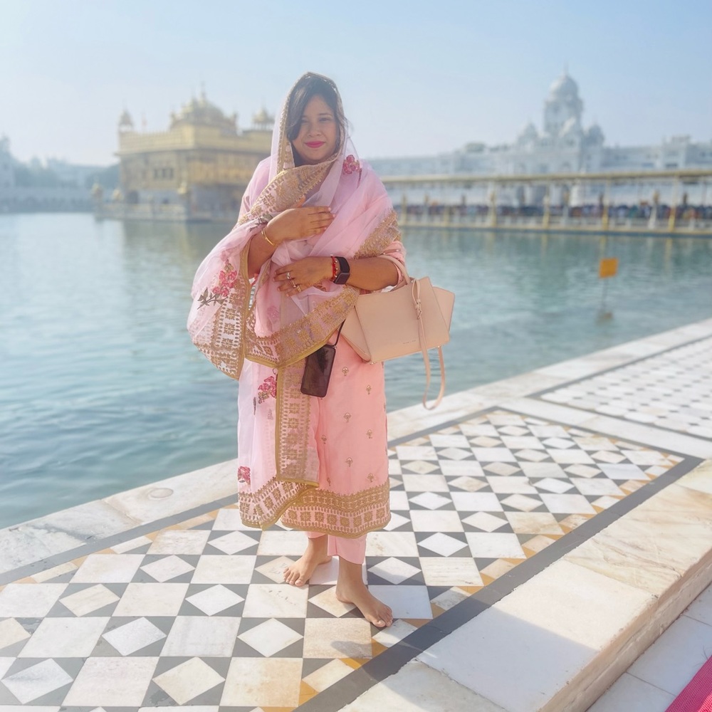 Designer organza suit - Picture 4 of 7